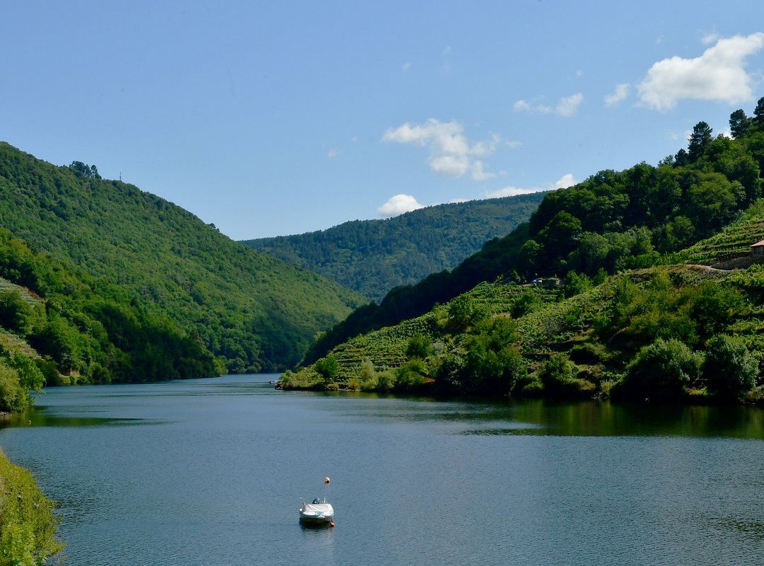 La Unesco ha aprobado de forma definitiva la declaración de la candidatura de la Ribeira Sacra como nueva Resserva de la Biosfera La Unesco ha aprobado de forma definitiva la declaración de la candidatura de la Ribeira Sacra como nueva Resserva de la Biosfera