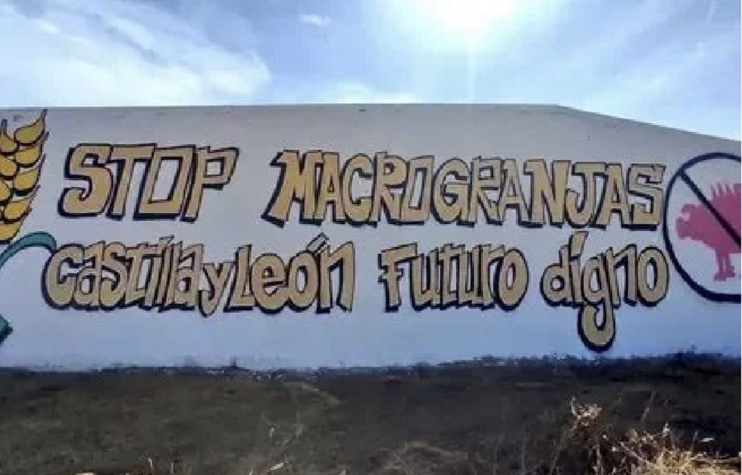 Mural contra las macrogranjas porcinas en Palencia Mural contra las macrogranjas porcinas en Palencia