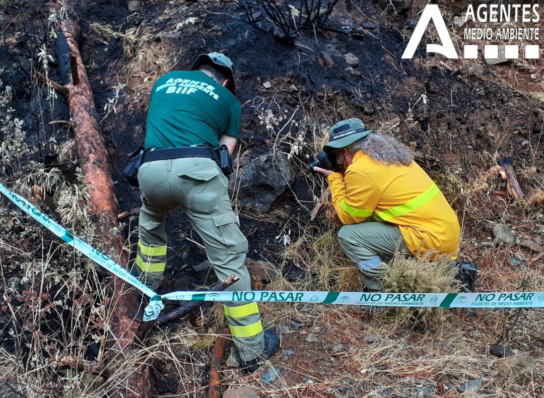 Investigación del incendio de Sierra Bermeja
Investigación del incendio de Sierra Bermeja