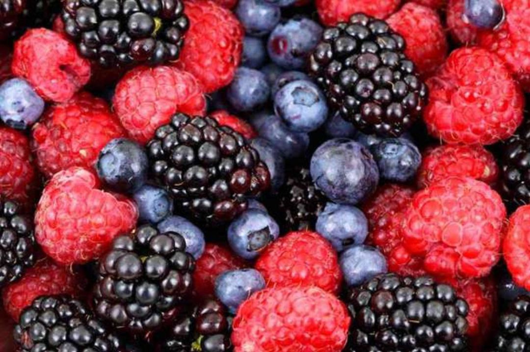 Frutos rojos (berries) Frutos rojos (berries)