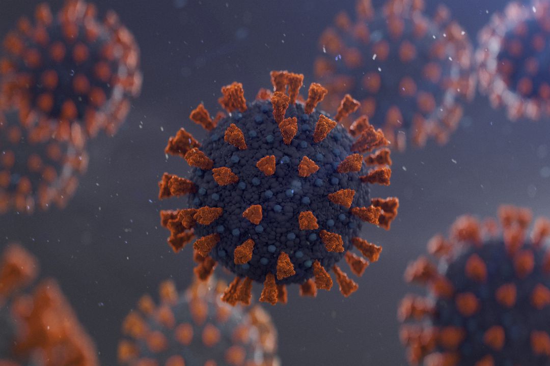 Dos fallecidos y 116 nuevos casos de coronavirus en la Región de Murcia Dos fallecidos y 116 nuevos casos de coronavirus en la Región de Murcia