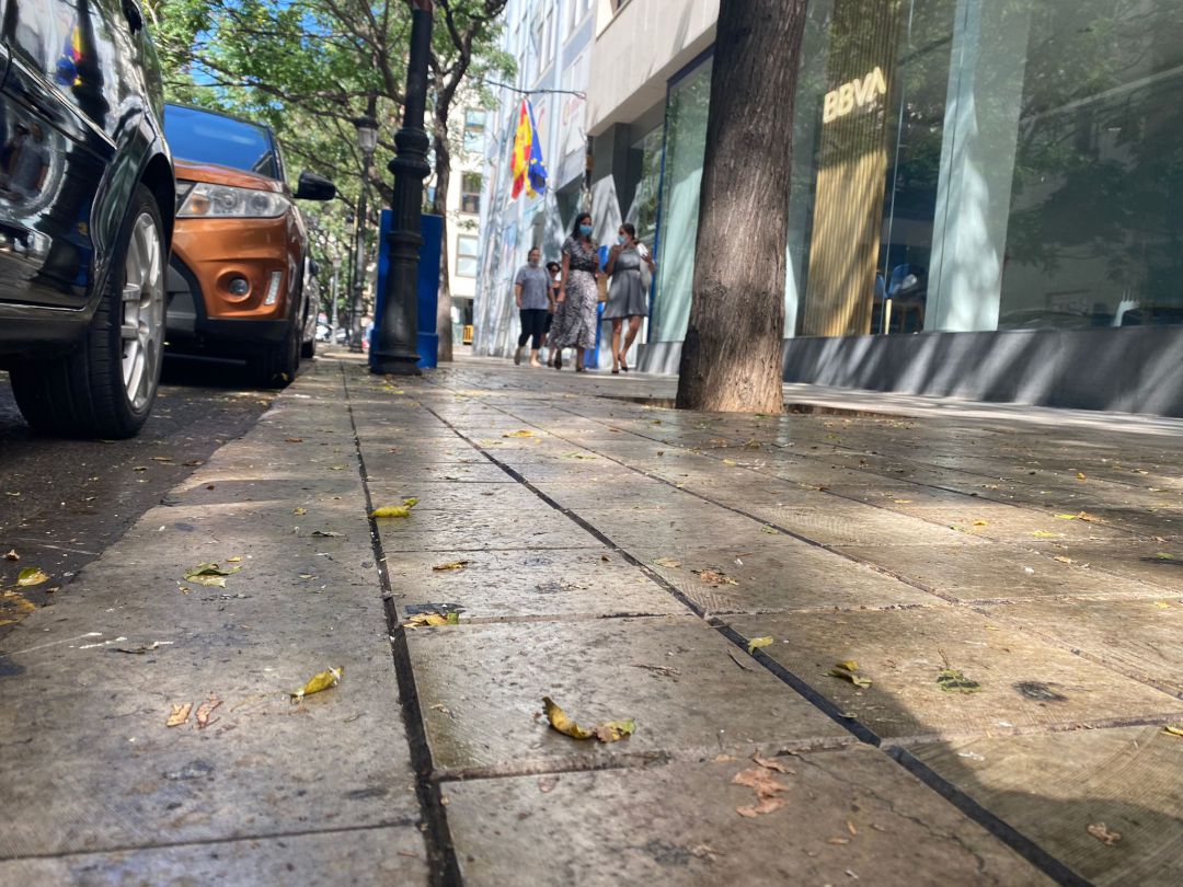 Suciedad provocada por la plaga de cotonet en la calle Poeta Querol de València Suciedad provocada por la plaga de cotonet en la calle Poeta Querol de València