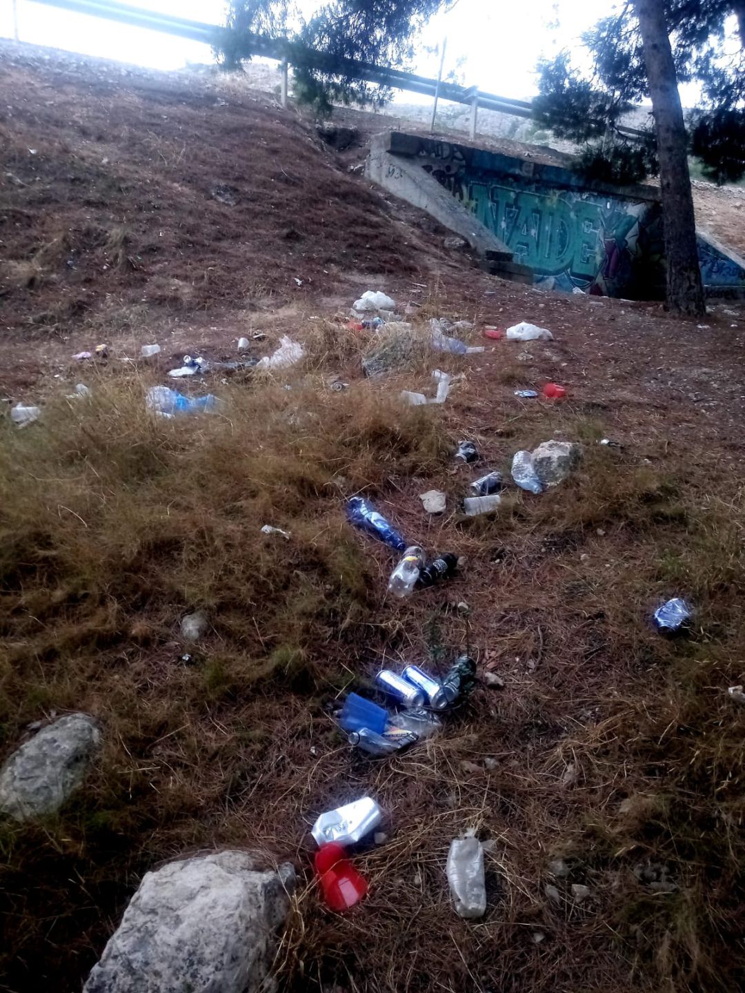 Zona donde se ha realizado la limpieza Zona donde se ha realizado la limpieza