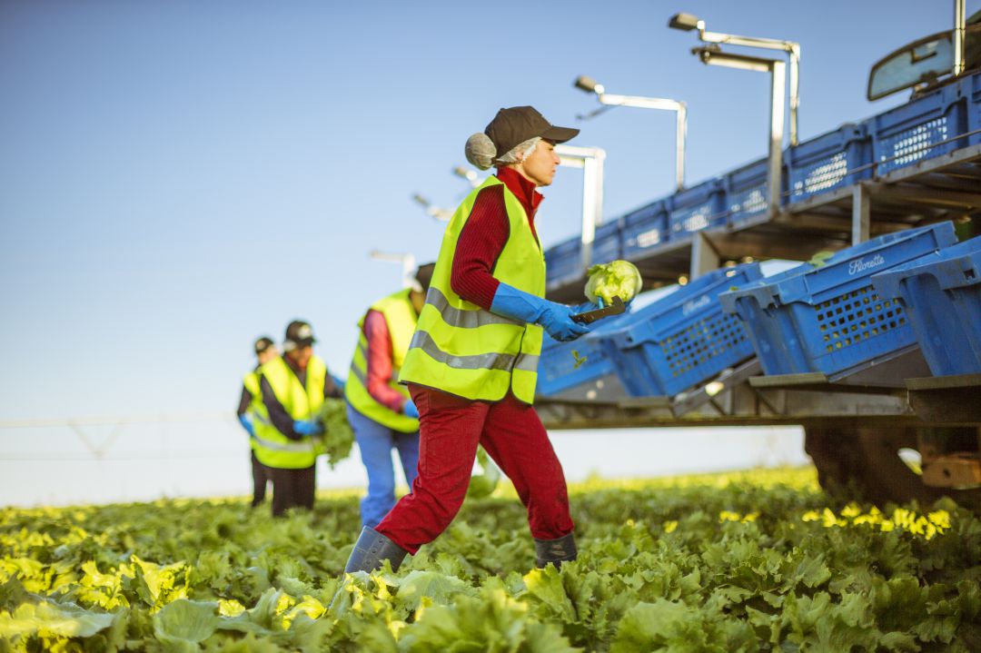 Los trabajadores se movilizarán mientras duran las negociaciones Los trabajadores se movilizarán mientras duran las negociaciones
