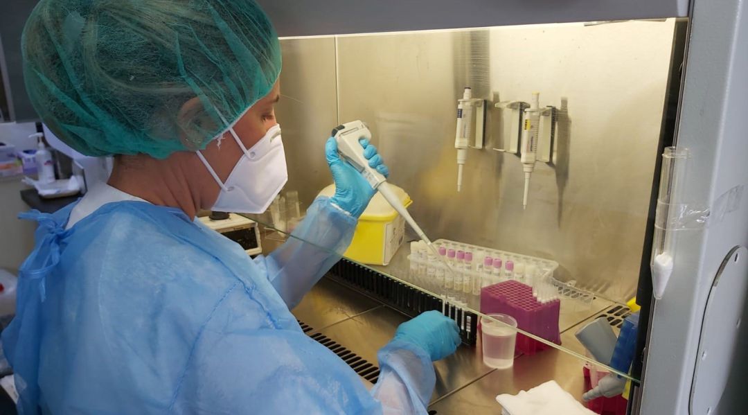 Una profesional del servicio de Microbiología del HUC procesa una prueba PCR Una profesional del servicio de Microbiología del HUC procesa una prueba PCR