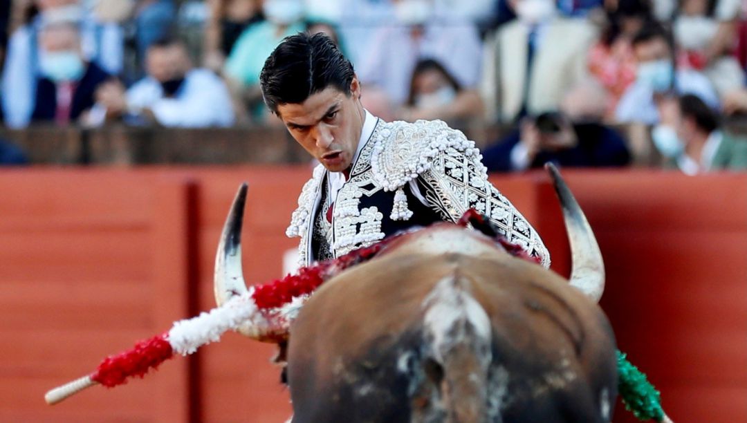El diestro Pablo Aguado con su primer toro en el primer festejo taurino con público en la Real Maestranza de Sevilla, correspondiente a la feria de San Miguel El diestro Pablo Aguado con su primer toro en el primer festejo taurino con público en la Real Maestranza de Sevilla, correspondiente a la feria de San Miguel