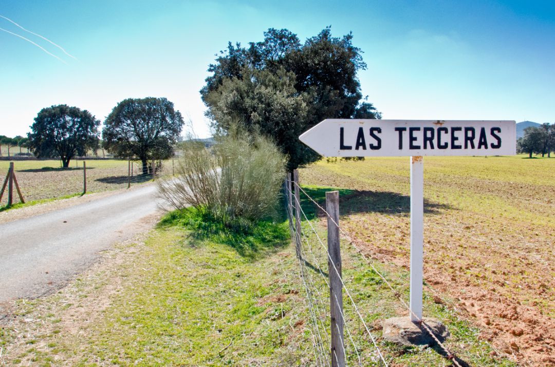 El suceso ha tenido lugar en la finca 'Las Terceras' El suceso ha tenido lugar en la finca 'Las Terceras'