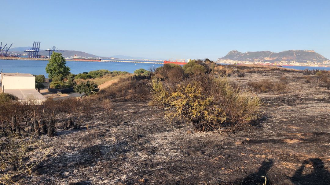 Superficie afectada por el fuego. Superficie afectada por el fuego.