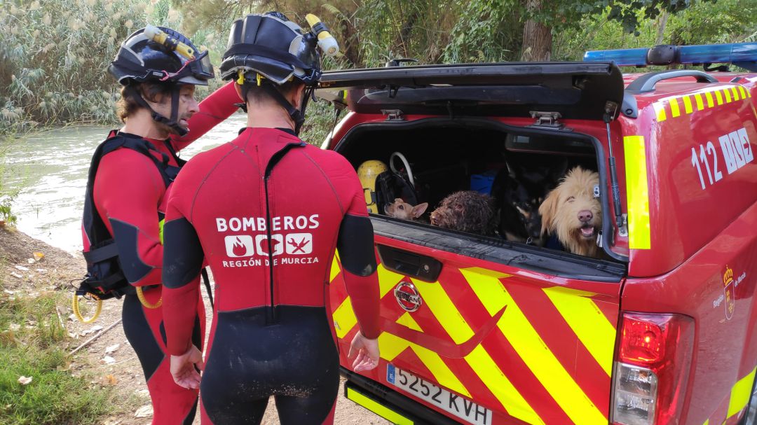 Rescatan del Rio Segura en Cieza a una mujer que se había lanzado para salvar a su perro caido al agua Rescatan del Rio Segura en Cieza a una mujer que se había lanzado para salvar a su perro caido al agua