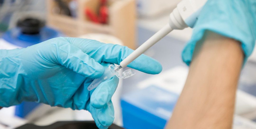 Análisis de una prueba PCR Análisis de una prueba PCR