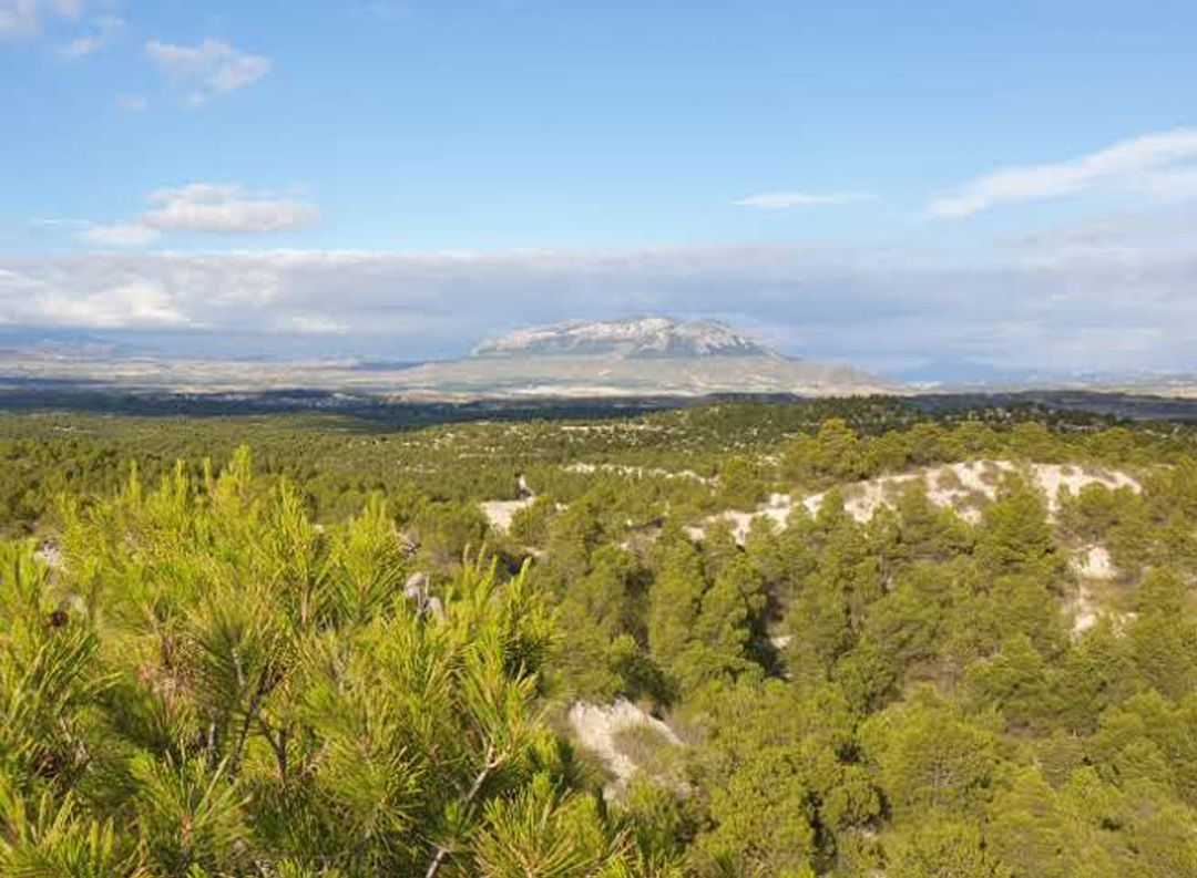 Foto de archivo del cerro Jabalcón (Zújar), imponiéndose sobre la Hoya de Baza. Vista desde el mirador de la Senda del Guardal, en Benamaurel (Granada). Falsamente en la zona siempre se ha comenzado que Jabalcón era un volcán Foto de archivo del cerro Jabalcón (Zújar), imponiéndose sobre la Hoya de Baza. Vista desde el mirador de la Senda del Guardal, en Benamaurel (Granada). Falsamente en la zona siempre se ha comenzado que Jabalcón era un volcán