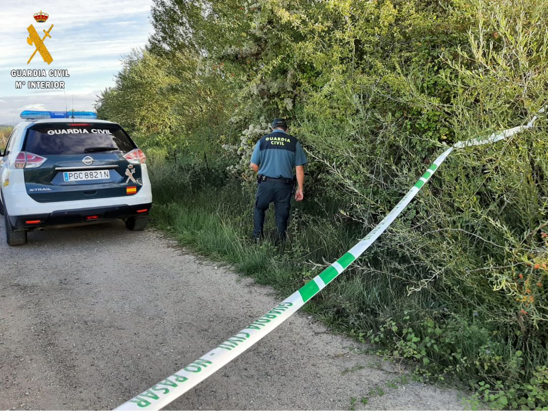 La Guardia Civil localiza el cadáver de una persona desaparecida cerca del Canal de Castilla en Herrera La Guardia Civil localiza el cadáver de una persona desaparecida cerca del Canal de Castilla en Herrera