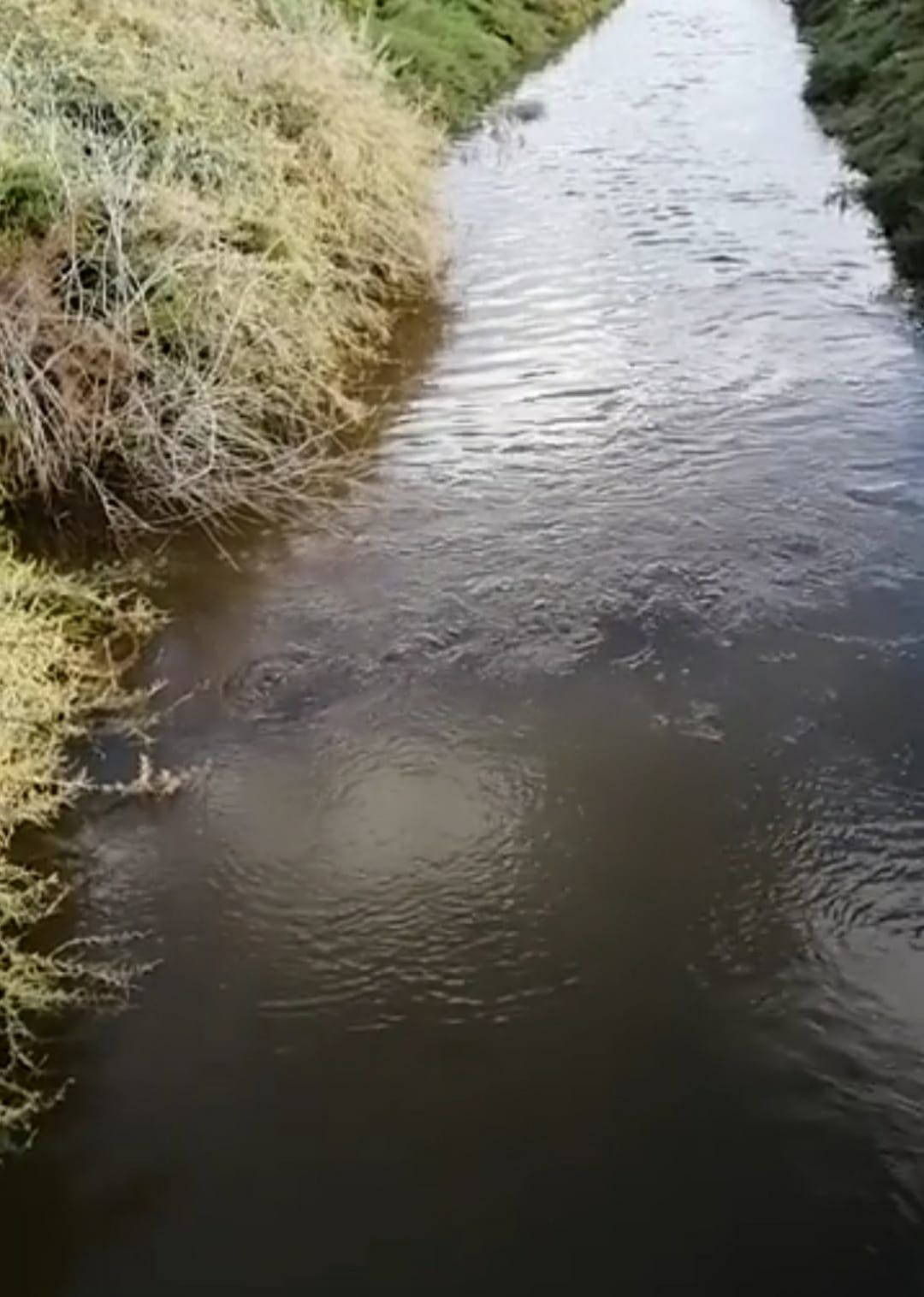 Acequia del Rey Acequia del Rey