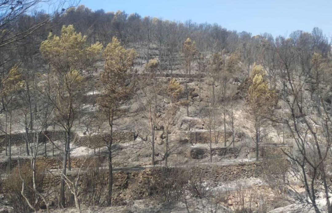 Imagen del incendio de Azuébar Imagen del incendio de Azuébar
