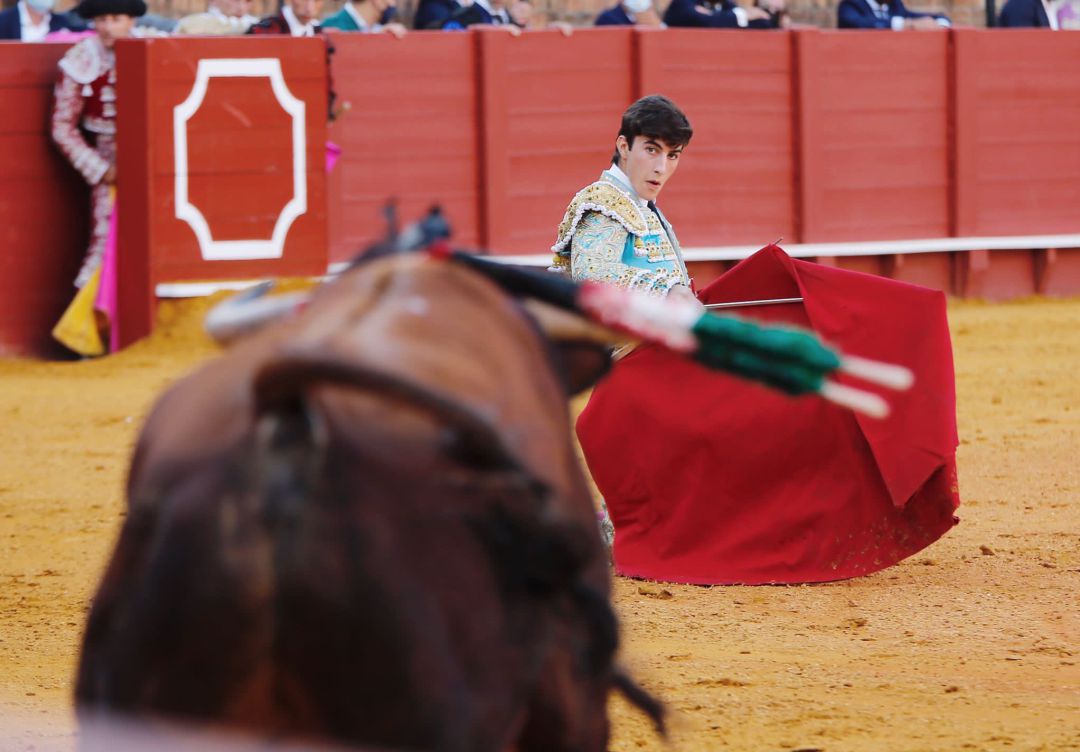 El extremeño Manuel Perera en el inicio de faena al primer novillo de su lote, tercero de la tarde El extremeño Manuel Perera en el inicio de faena al primer novillo de su lote, tercero de la tarde