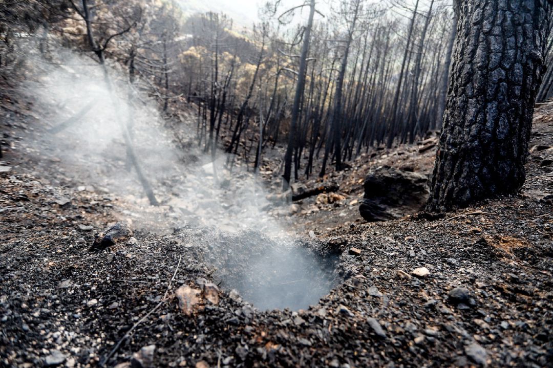 Zonas quemadas por el incendio de Sierra Bermeja, en el área de Puerto de Peñas Blancas a 14 de septiembre 2021 en Estepona (Málaga) Andalucía Zonas quemadas por el incendio de Sierra Bermeja, en el área de Puerto de Peñas Blancas a 14 de septiembre 2021 en Estepona (Málaga) Andalucía