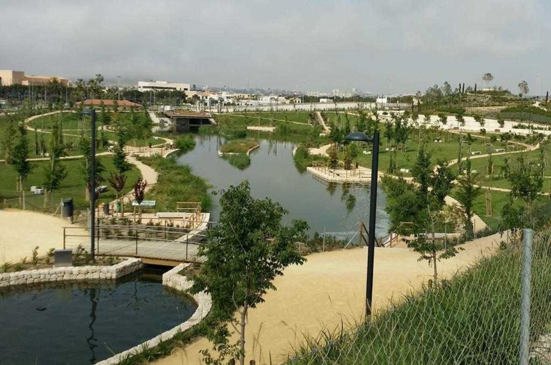 Imagen del parque inundable de la Marjal de Alicante Imagen del parque inundable de la Marjal de Alicante