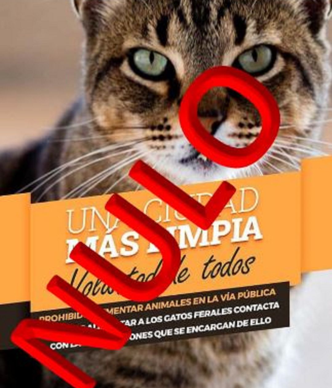 Cartelería que prohíbe dar de comer en la calle a los animales Cartelería que prohíbe dar de comer en la calle a los animales