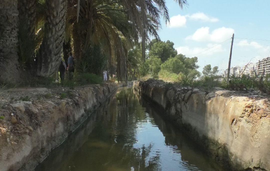 Acequia Mayor del Pantano Acequia Mayor del Pantano