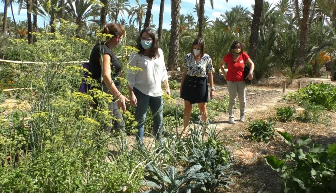 Mónica Oltra en el Hort de Felip Mónica Oltra en el Hort de Felip
