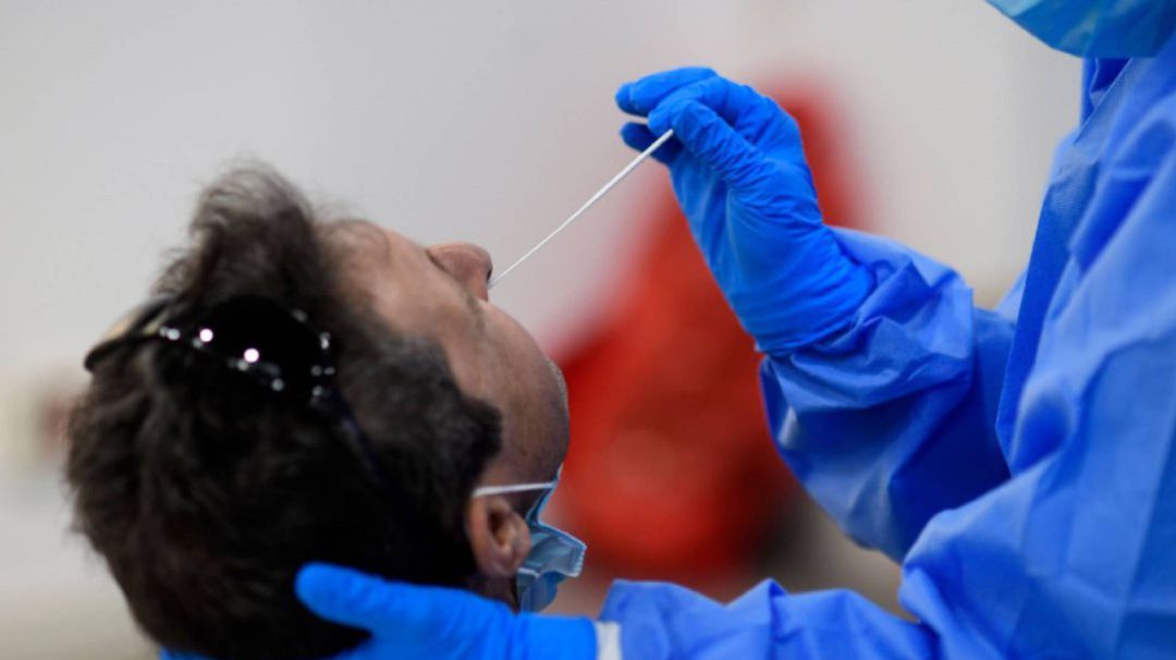 Realizando una prueba PCR Realizando una prueba PCR