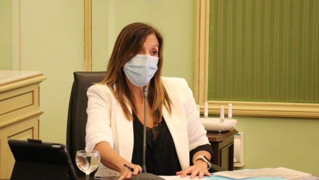 La directora general de Salud Pública del Govern balear, Maria Antònia Font, durante una comparencia en el Parlament. La directora general de Salud Pública del Govern balear, Maria Antònia Font, durante una comparencia en el Parlament.