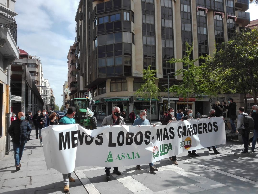 Manifestación de las organizaciones agrarias por el centro de Zamora Manifestación de las organizaciones agrarias por el centro de Zamora