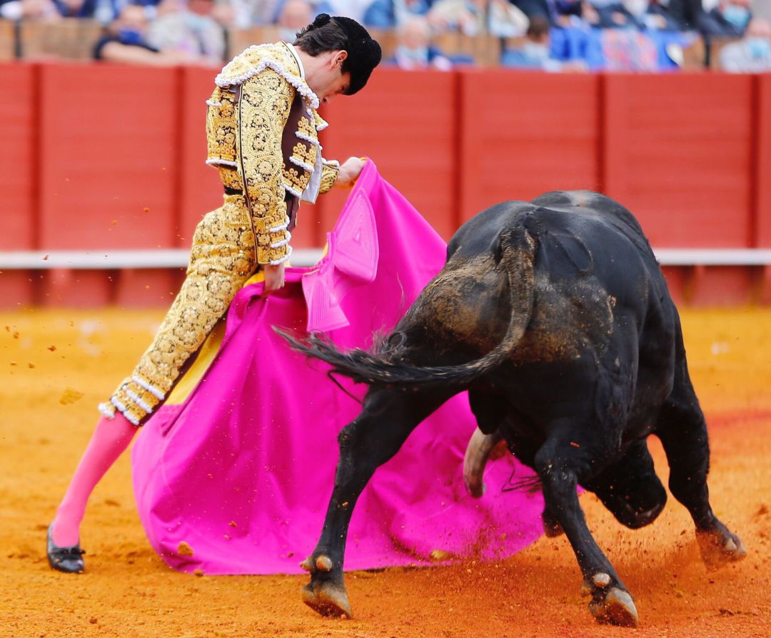 Juan Ortega en una de las excelsas verónicas al segundo toro de la tarde Juan Ortega en una de las excelsas verónicas al segundo toro de la tarde