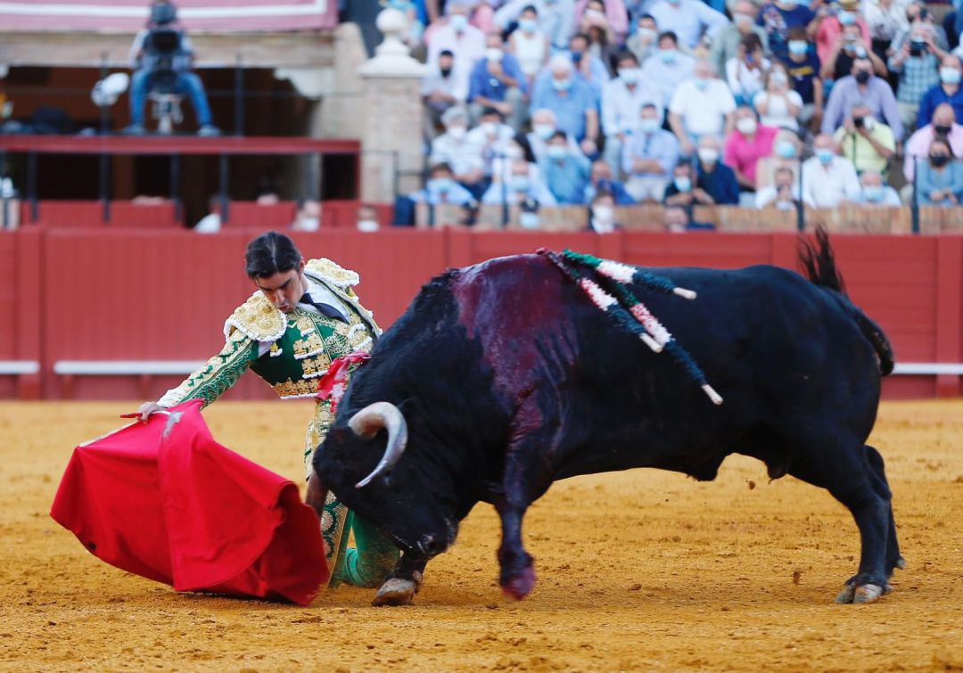 Miguel Ángel Perera en el inicio de la faena de muleta al quinto toro de la tarde Miguel Ángel Perera en el inicio de la faena de muleta al quinto toro de la tarde