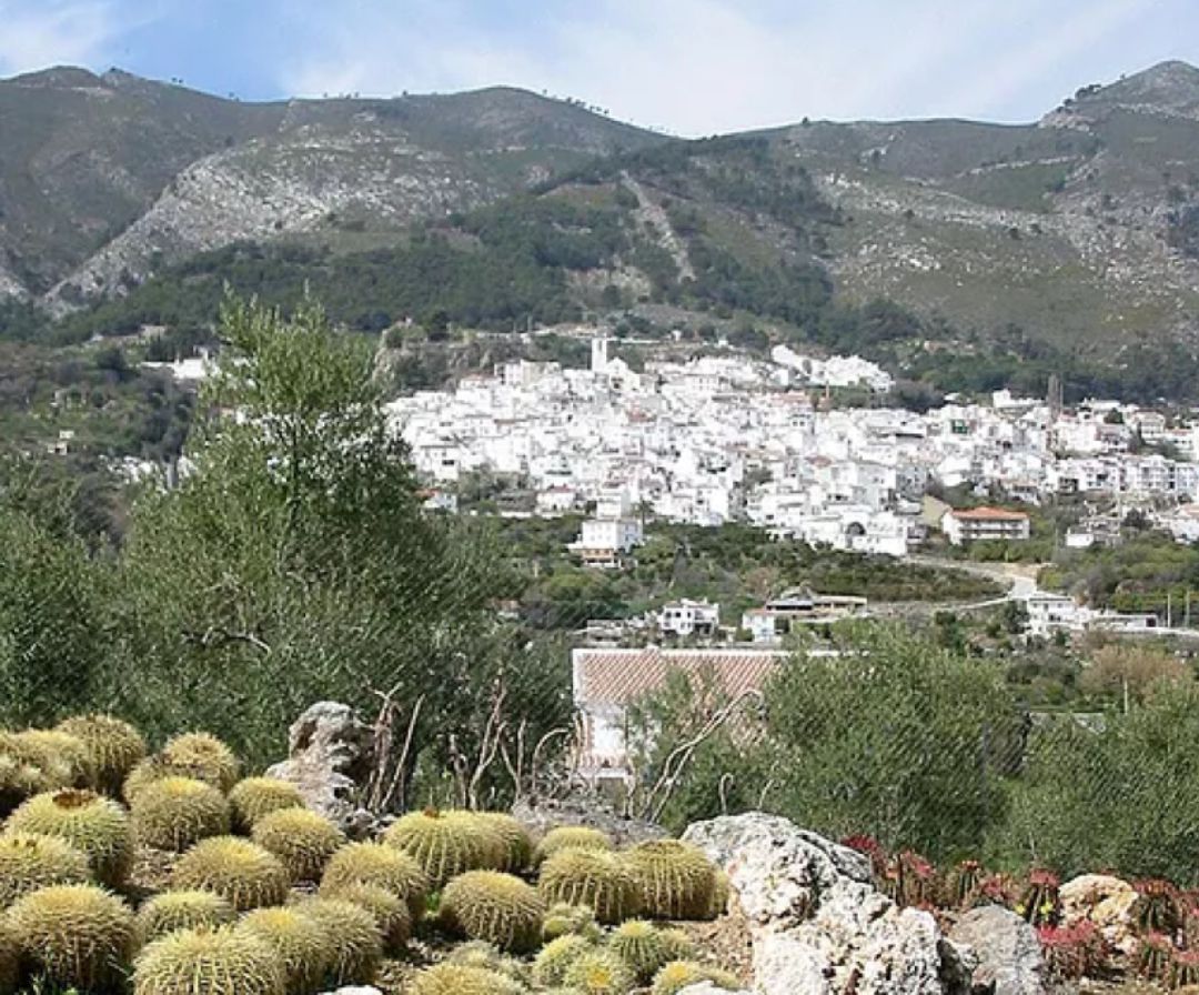 El jardín alberga una de las principales colecciones de cactus de Europa, con más de 2.200 especies El jardín alberga una de las principales colecciones de cactus de Europa, con más de 2.200 especies