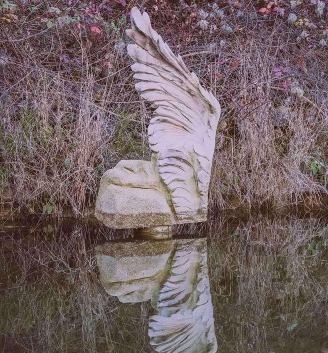 Escultura de un ala Escultura de un ala