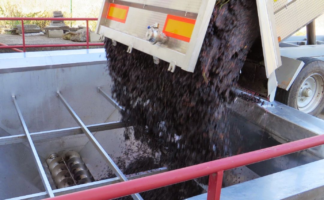 Uno de los remolques que durante estos días descarga la uva en las tolvas de las bodegas. Uno de los remolques que durante estos días descarga la uva en las tolvas de las bodegas.