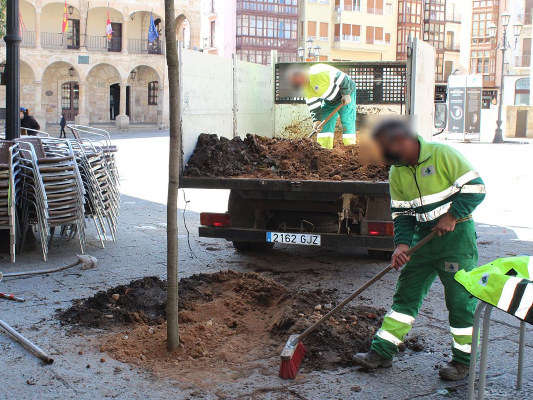 Dos operarios realizan trabajos en la Plaza Mayor Dos operarios realizan trabajos en la Plaza Mayor