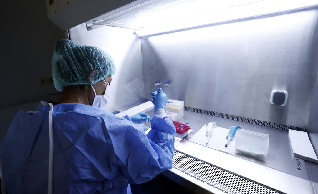 Un laboratorio desarrolla medicamentos contra la COVID-19. Un laboratorio desarrolla medicamentos contra la COVID-19.