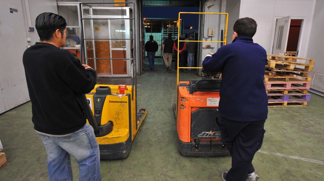 Dos trabajadores en un almacén agrícola Dos trabajadores en un almacén agrícola