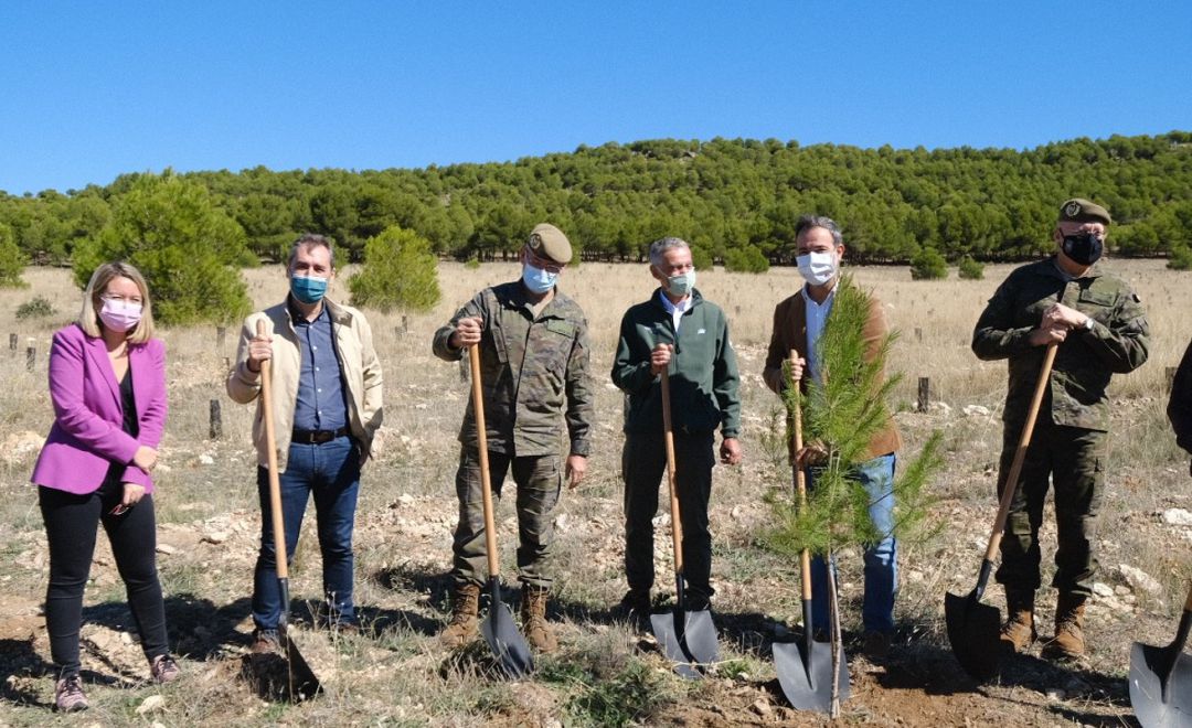 Imagen de la plantación de árboles en el Cenad de Chinchilla Imagen de la plantación de árboles en el Cenad de Chinchilla