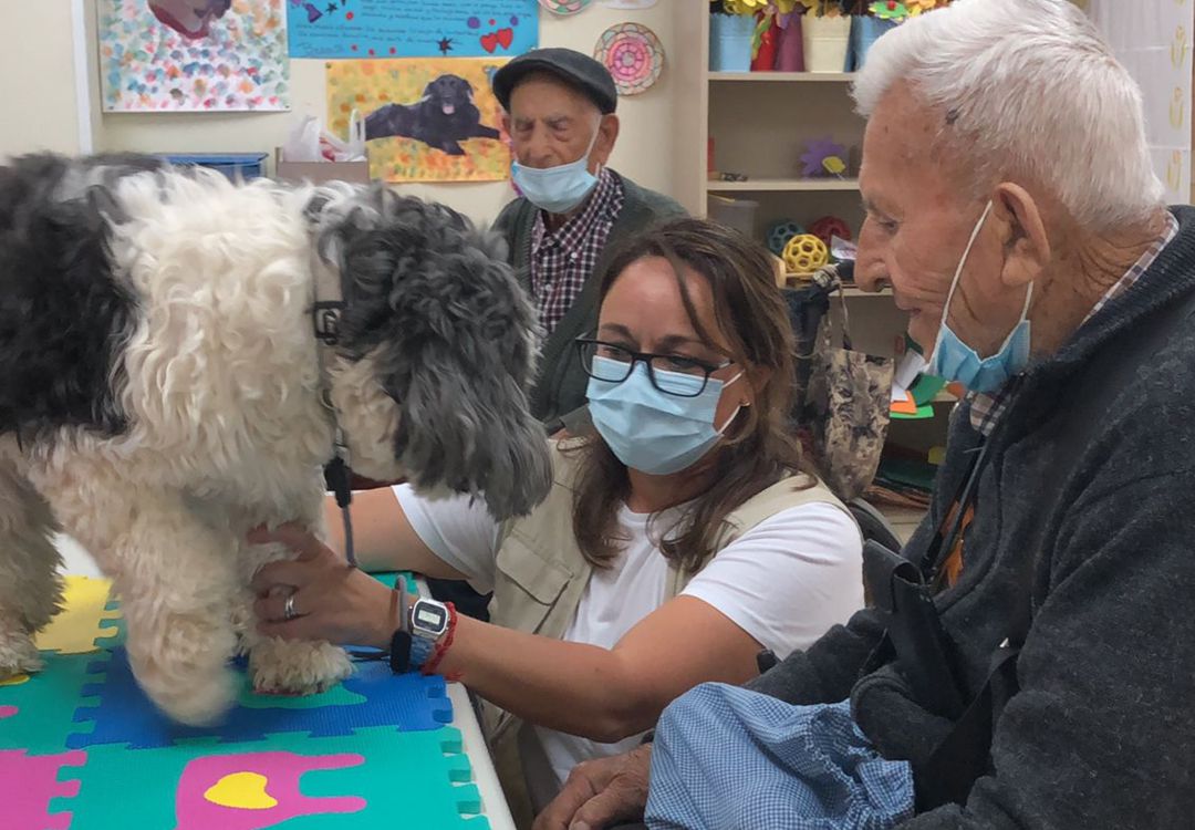 Un momento de la terapia con perros que desarrolla Gudcan en la residencia Sagrado Corazón de Jesús de Cuenca. Un momento de la terapia con perros que desarrolla Gudcan en la residencia Sagrado Corazón de Jesús de Cuenca.