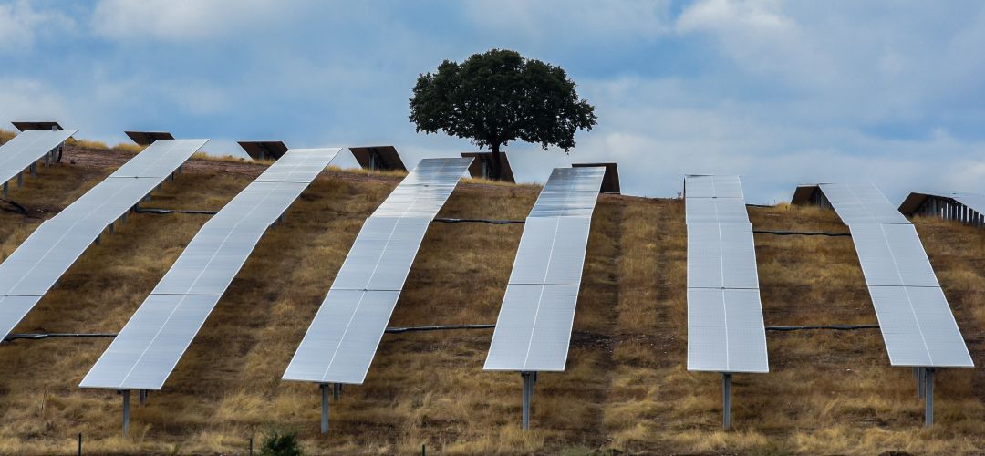 Varias líneas de placas solares en una zona natural Varias líneas de placas solares en una zona natural