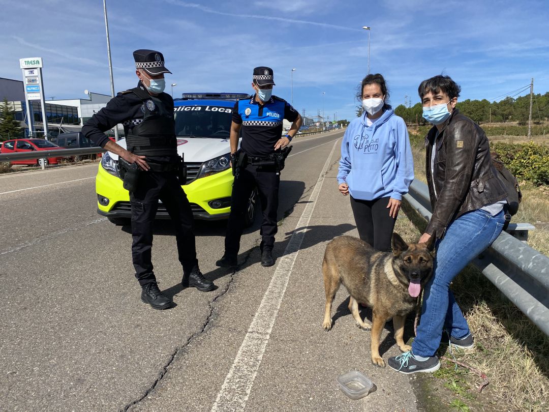 El perro fue neutralizado con mucho esfuerzo El perro fue neutralizado con mucho esfuerzo