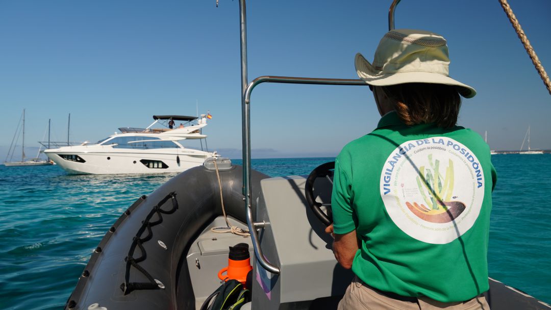 Dos de cada cinc barques que es van controlar a Menorca estaven fonsejades sobre parderies de posidònia. Dos de cada cinc barques que es van controlar a Menorca estaven fonsejades sobre parderies de posidònia.