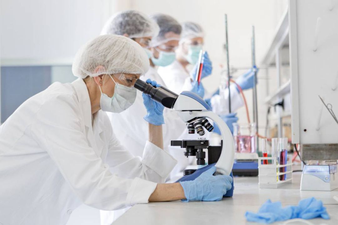 Investigadores de España y Brasil desarrollan compuestos bioactivos para inactivar el SARS-CoV 2 Investigadores de España y Brasil desarrollan compuestos bioactivos para inactivar el SARS-CoV 2