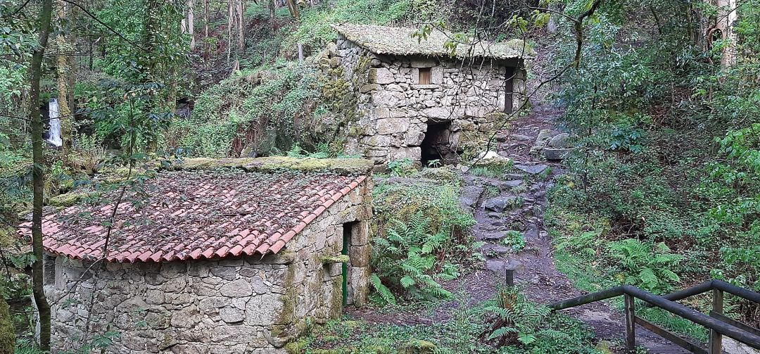 Senda de Muíños do Río Tripes en Tui. Senda de Muíños do Río Tripes en Tui.