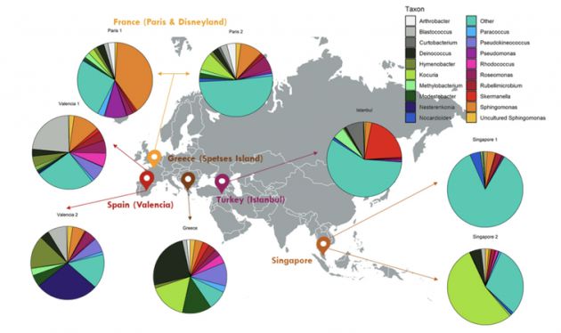Perfiles taxonómicos de las muestras de chicles recogidos del suelo de cinco países diferentes. Perfiles taxonómicos de las muestras de chicles recogidos del suelo de cinco países diferentes.
