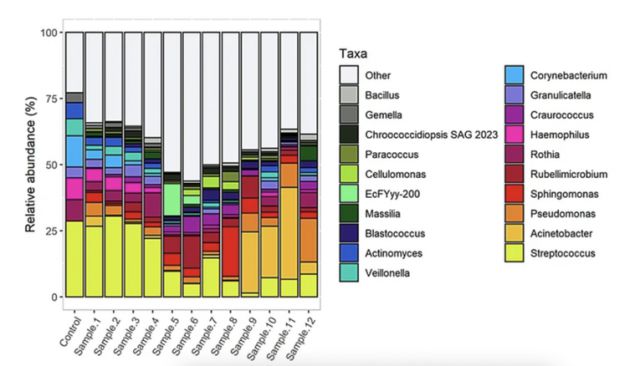 Dinámica de la variación de las comunidades microbianas a lo largo de doce semanas. Las barras representan la modificación del perfil microbiano a lo largo del tiempo. Dinámica de la variación de las comunidades microbianas a lo largo de doce semanas. Las barras representan la modificación del perfil microbiano a lo largo del tiempo.
