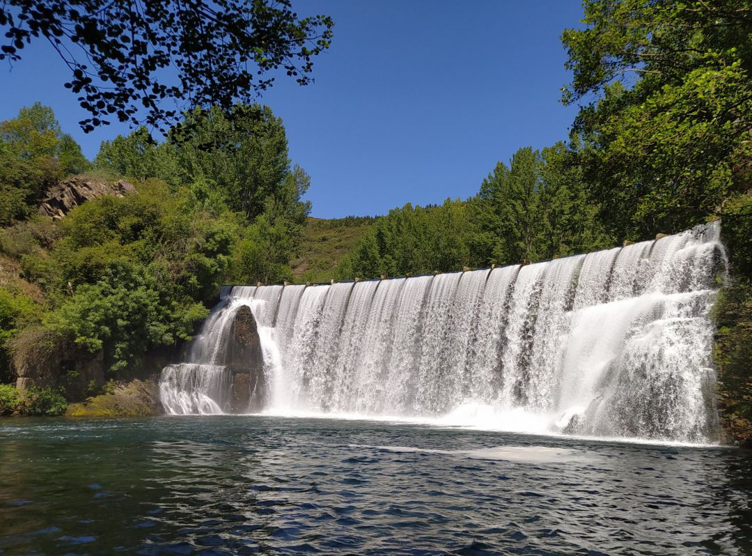 Imagen del salto Imagen del salto