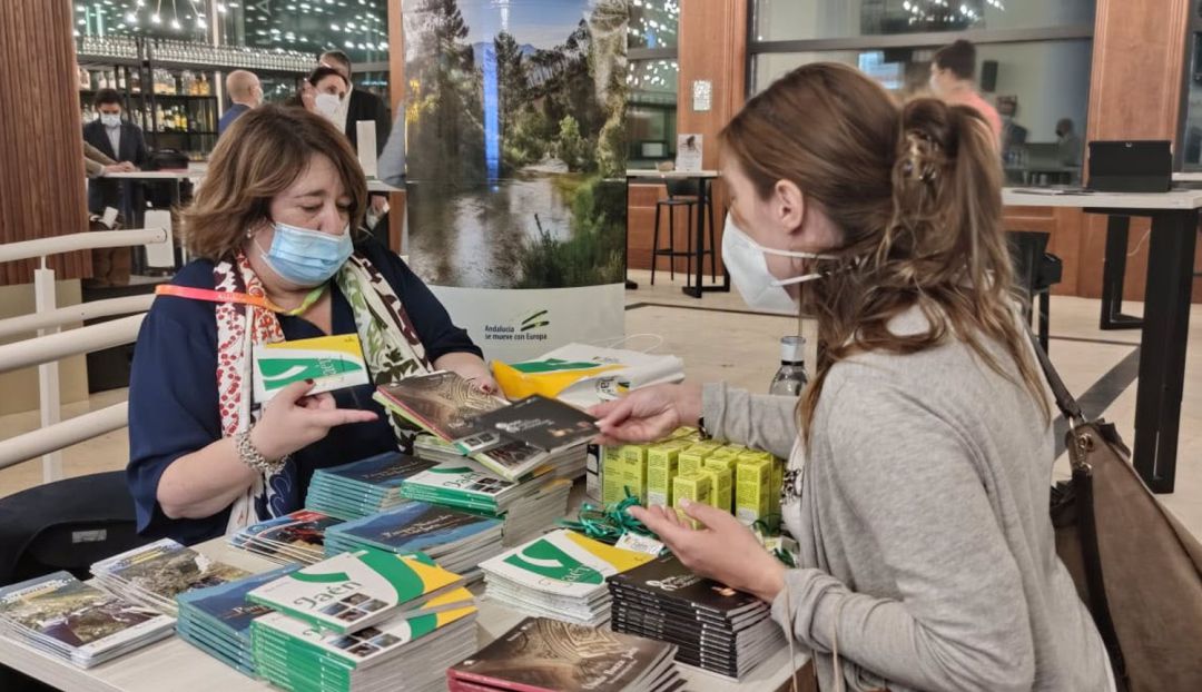 La promoción en lugares como el Levante, Madrid, Bilbao o Almería beneficiarán a la provincia de Jaén como destino turístico La promoción en lugares como el Levante, Madrid, Bilbao o Almería beneficiarán a la provincia de Jaén como destino turístico