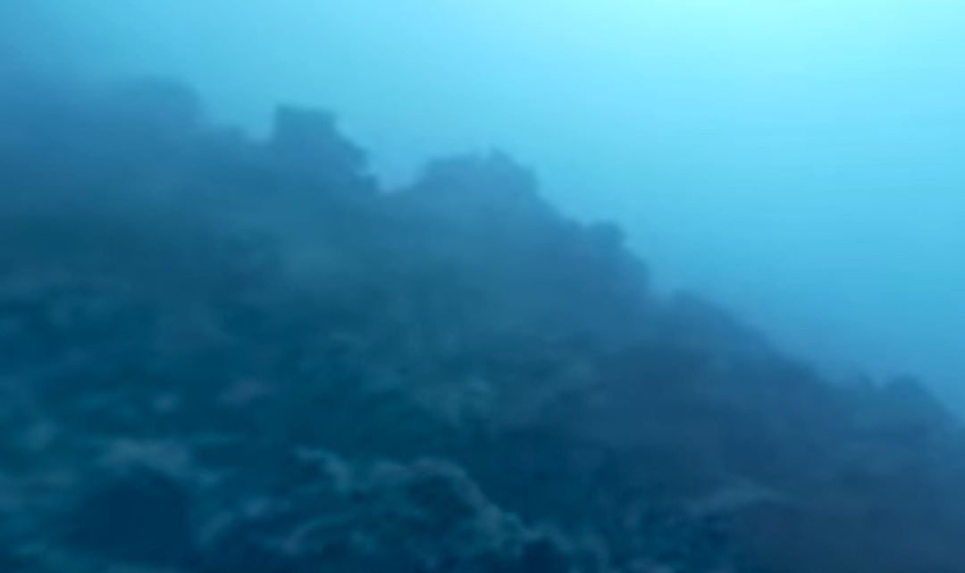 Imágenes submarinas de la fajana Imágenes submarinas de la fajana