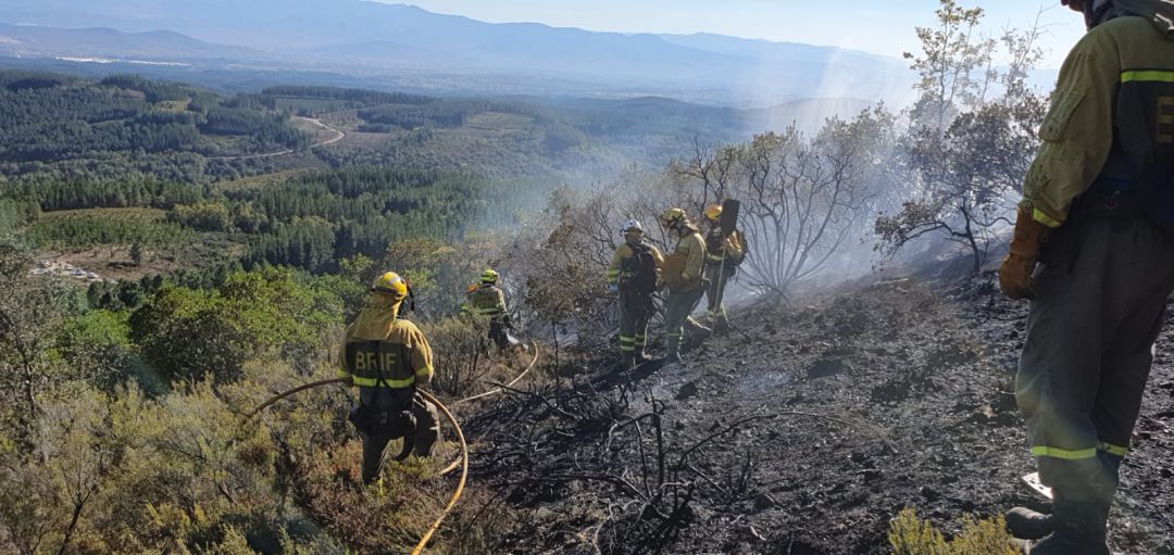 Efectivos forestales sofocando el fuego Efectivos forestales sofocando el fuego