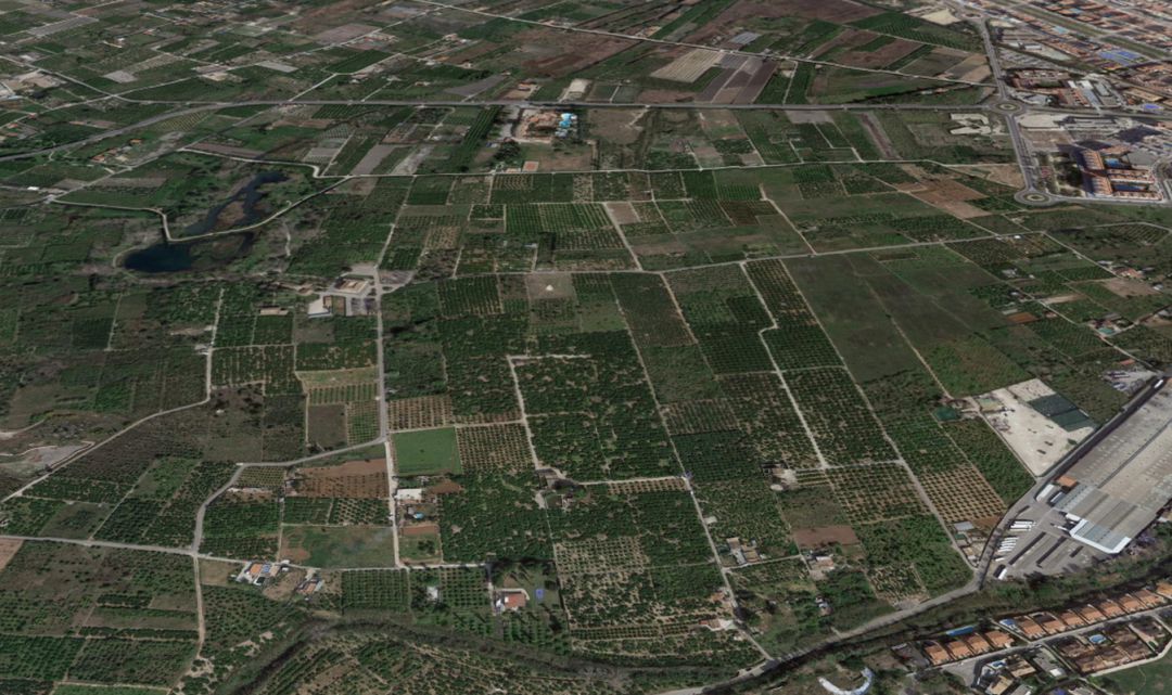Zona donde se ubicaría el glamping en Gandia Zona donde se ubicaría el glamping en Gandia