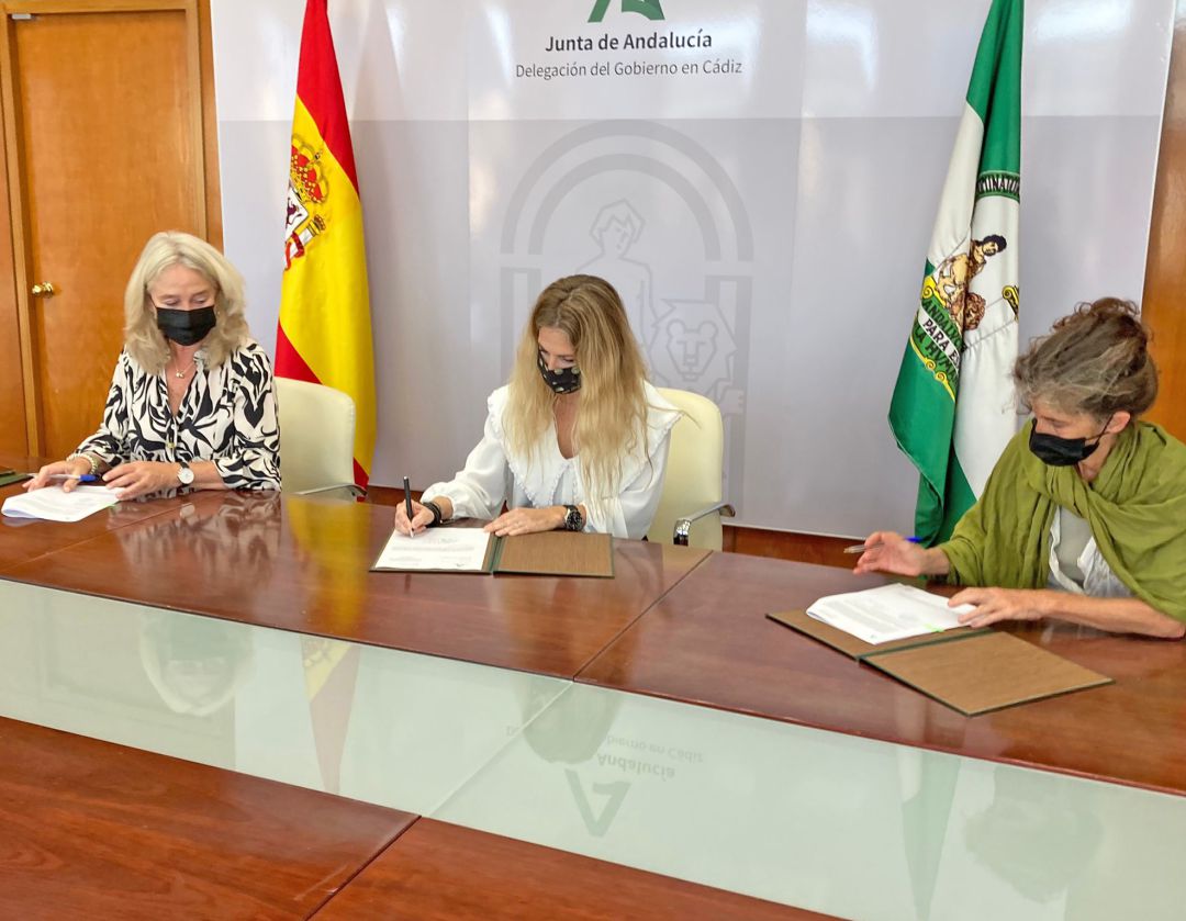 Firma del contrato para la redacción del proyecto Firma del contrato para la redacción del proyecto